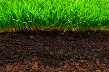 The Importance Of Good Soil Health For Natural Baton Rouge Lawn Care